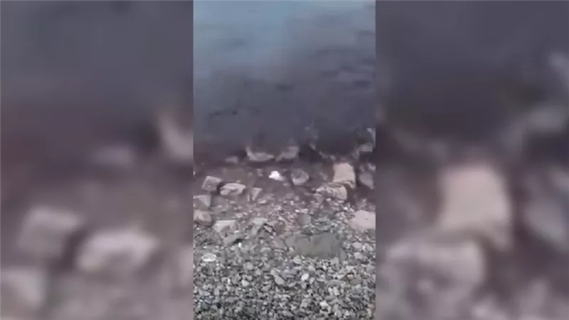 شاهد ....تحول مياه البحر الأسود إلى اللون الأحمر