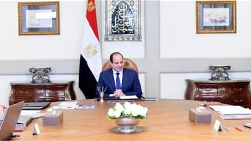 الرئيس يوجه بالاستمرار فى تحديث قطاع البترول وتطوير صناعة البتروكيماويات