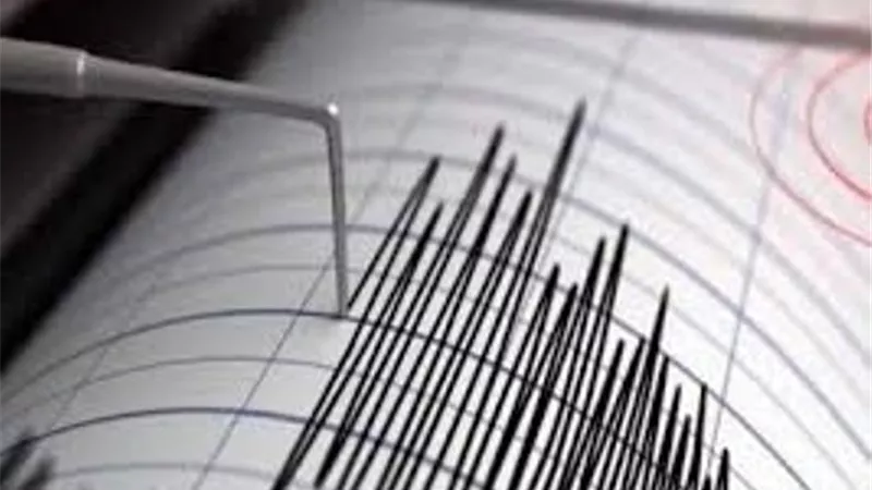 زلزال 4.6 ريختر يضرب غربى تركيا