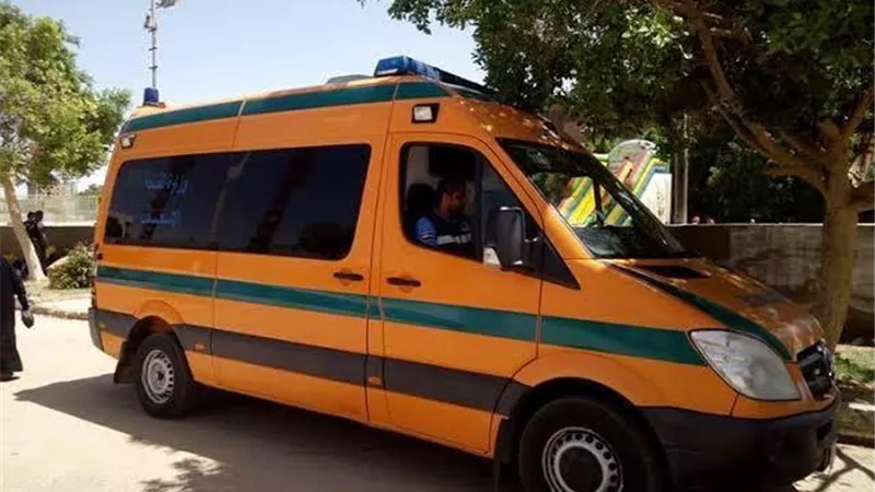 بسبب البرسيم والجلاوين .. إصابة 5 اشخاص ونفوق بقرتين فى البحيرة