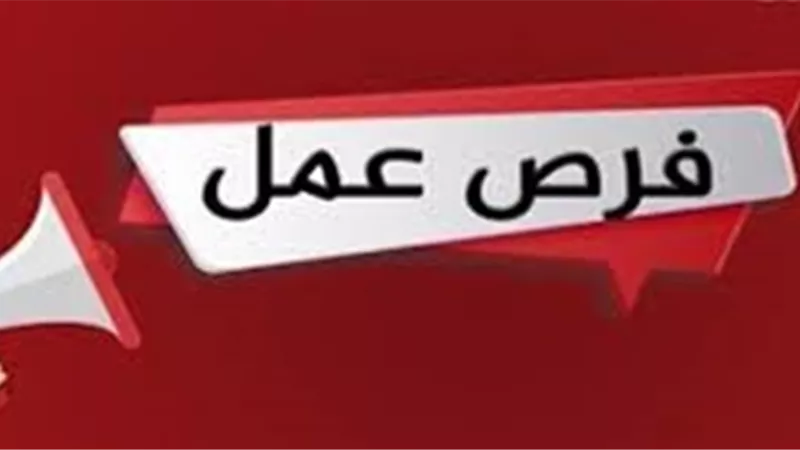 فرص عمل جديدة لشباب الخريجين بالمنيا