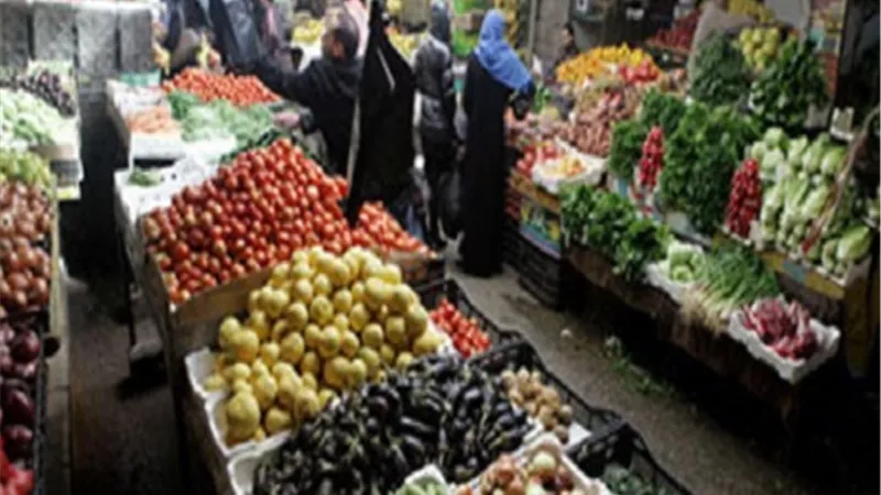 60 مليون دولار صادرات الإسماعيلية من الخضر والفاكهة لدول العالم