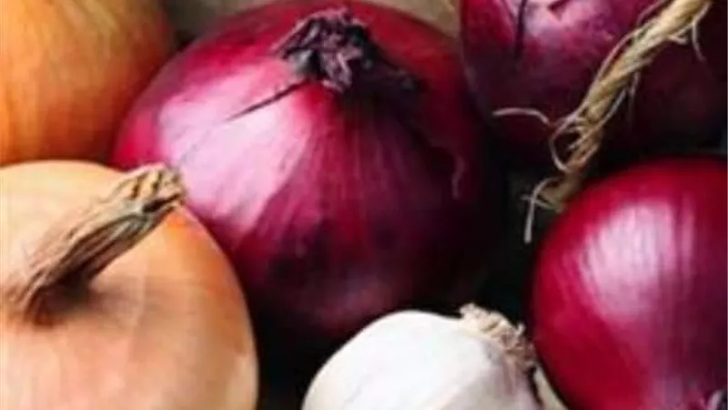 البصل الاحمر يحارب السعال و نزلات البرد.. تعرفى على التفاصيل