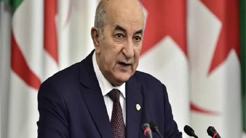 الرئيس الجزائرى يدعو لإبعاد كافة المقاتلين الأجانب عن ليبيا