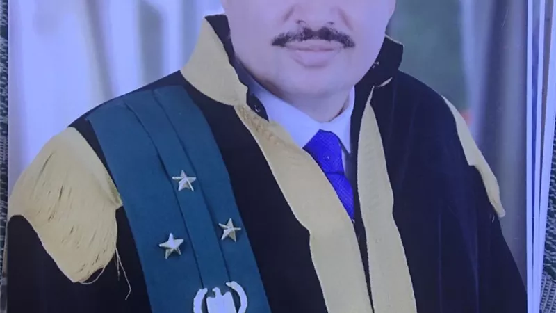 حكم جديد 
