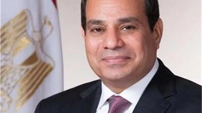 الرئيس يصدر قرارا بالترخيص لوزير البترول للتعاقد مع شركات