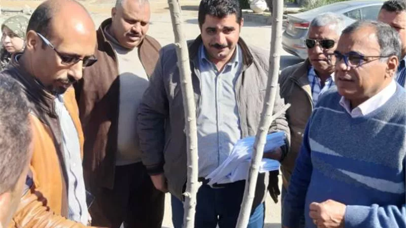 جهاز الشروق يسلم الأشجار بالمجان لسكان المدينة.. تعرف على الشروط بالصور