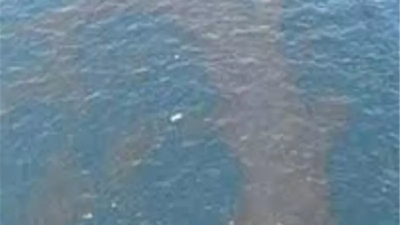 احتواء بقعة زيت اكتشفت في نيل أسوان