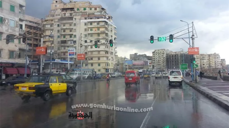 الكرم بدأت فى الثغربأمطارغزيره ورياح بارده