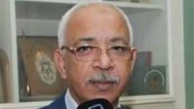 مصر تواصل جنى ثمار جهودها لتحقيق السلام فى افريقيا