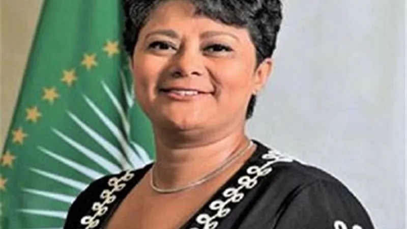 الملف الليبى فى يد الاتحاد الأفريقى وهى يد أمنية