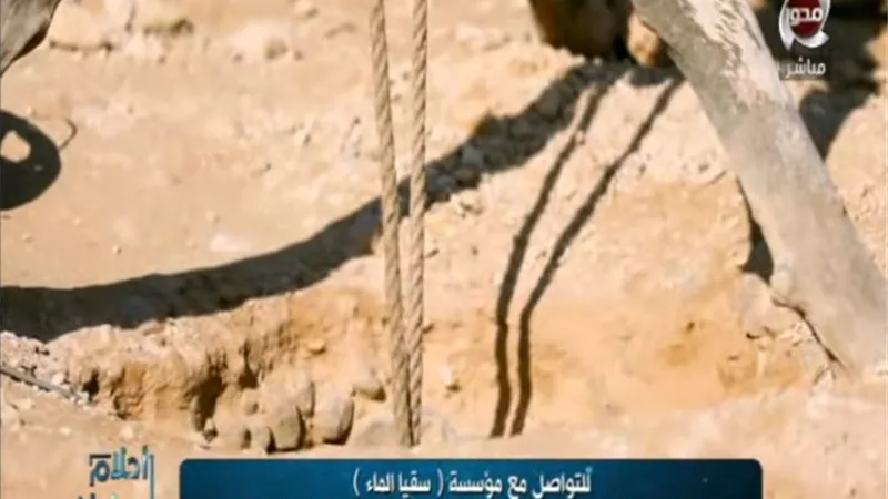 بالفيديو.. مؤسسة 
