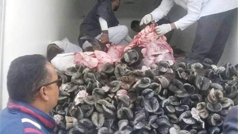 ضبط 160 كجم لحوم غير صالحة للاستهلاك الآدمى بالأسواق بسوهاج