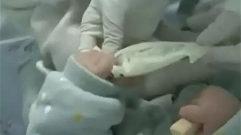 بالفيديو .. تسجيل إصابة أول رضيع بفيروس 
