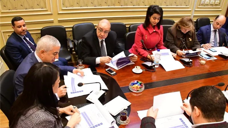 رئيس خارجية النواب: ننتهج دبلوماسية التنمية ولابد من تنسيق المواقف لإبراز الإيجابيات دولياً