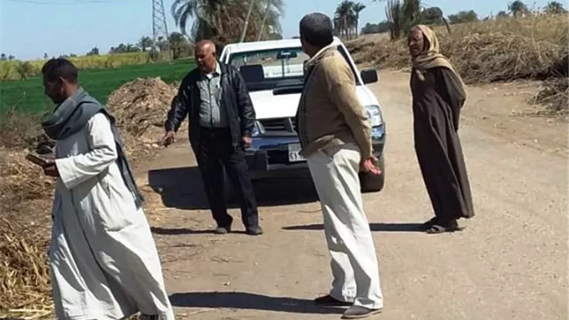 تركيب 120 عمود إنارة ورفع 30 طن قمامة بمركز الزينية شمال الأقصر.. بالصور