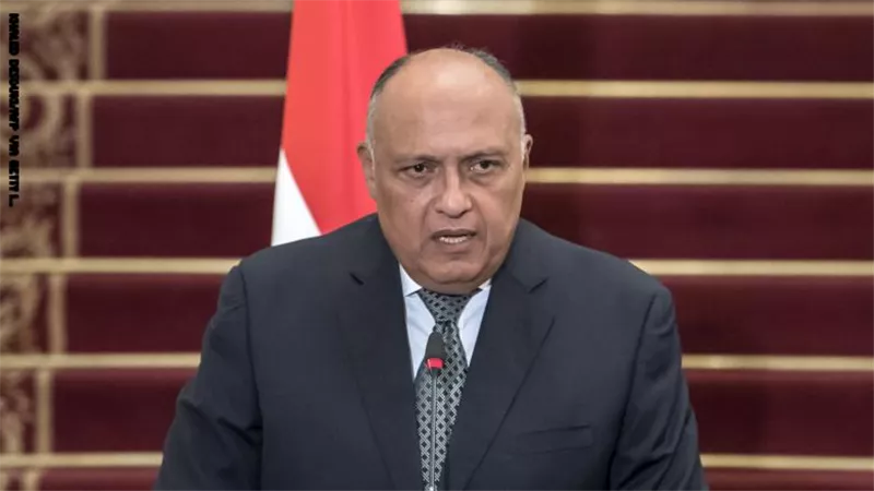 سامح شكري : تقدير وامتنان للرئيس السيسي من دول القارة السمراء .. فيديو