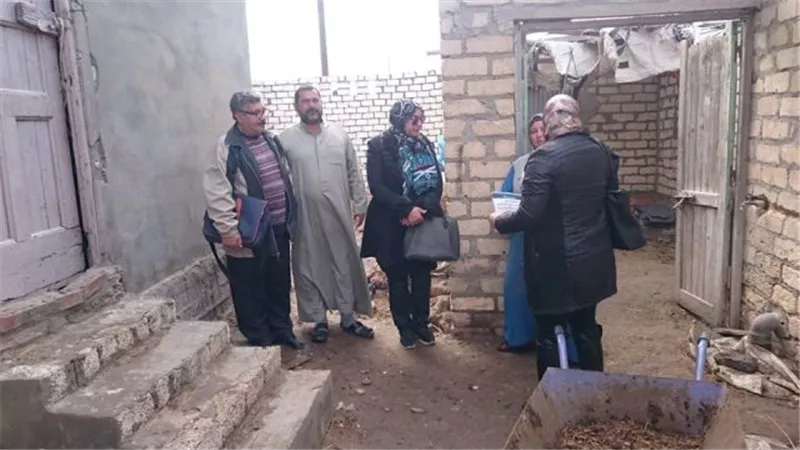 انطلاق الحملة القومية لتحصين الماشية شرق الإسماعيلية .صور