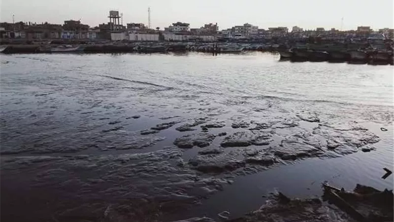 نائب محمد زين يتهم الحكومة بالإهمال فى تطهير ميناء صيد المعدية بأدكو