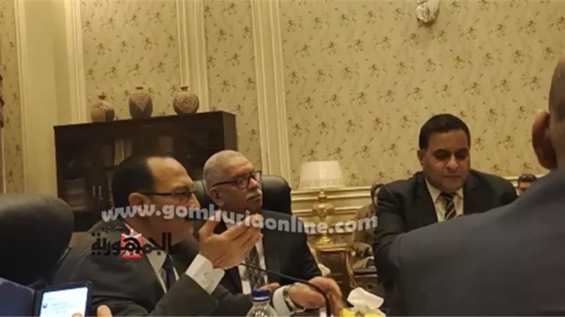 هشام عبد الواحد : 270 مليون جنية لإنشاء كوبرى علوى بقويسنا و آخر على مزلقان بركة السبع