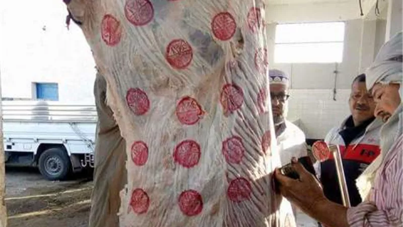 لأول مرة طب بيطري الإسماعيلية تعلن أسماء محلات بيع اللحوم الطازجة