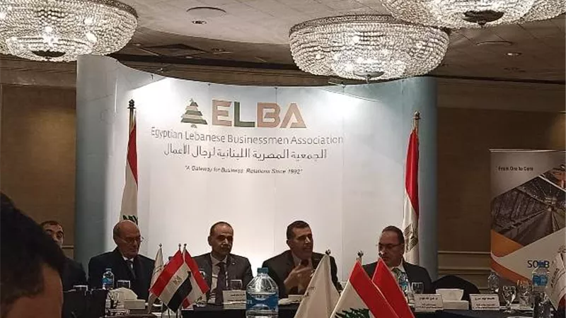 الضرائب تنظم ندوة عن آليات التعامل مع ميكنة الإجراءات الضريبية