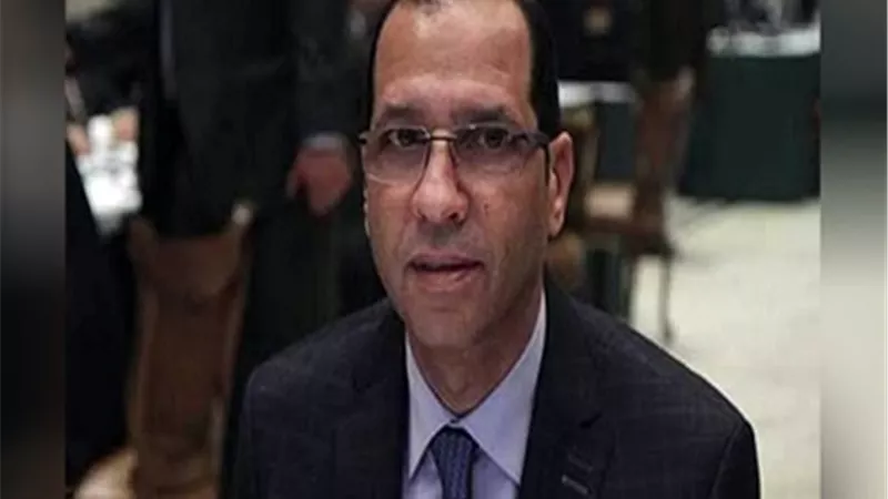مشهور: نجاح خطط تطوير الزراعة يرتبط بالوقوف إلى جانب الفلاح