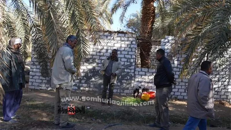 رئيس مركز باريس ينذرمستغلى مياه الشرب لرى الزراعات بالوادى الجديد