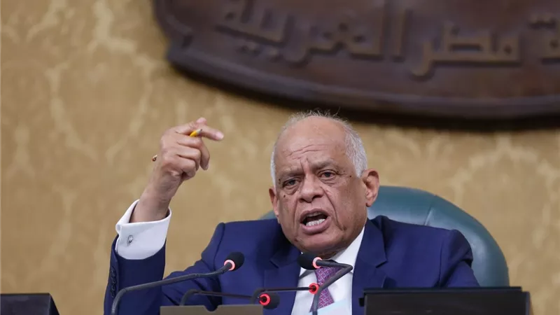النواب: تصريحات رئيس البرلمان الاوروبى تعدى على السلطة القضائية
