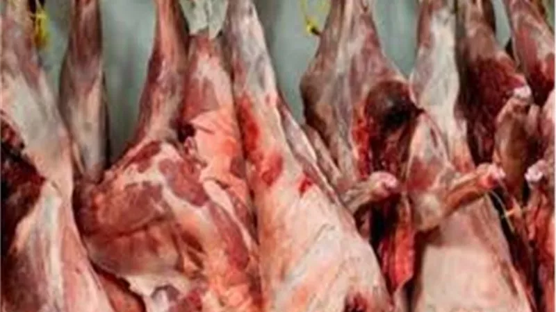 الزراعة توضح حقيقة استيراد صفقة لحوم فاسدة من الخارج