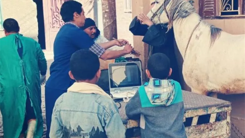 الزراعة تنظم قوافل بيطريةمجانية لصغار المربين بمحافظة سوهاج