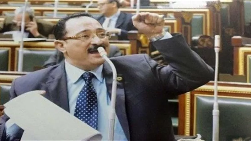 هشام عبد الواحد: نجاح مفاوضات سد النهضة سيكون فى مصلحة الجميع