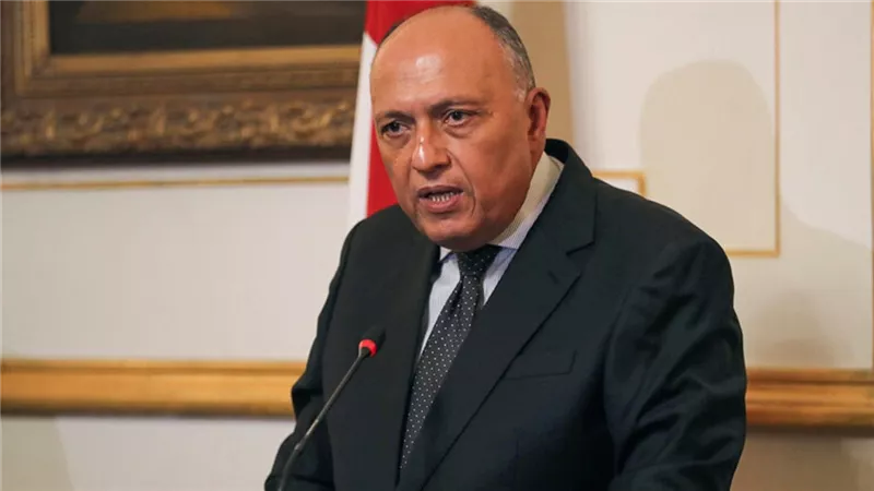 شكري: نتوقع اتفاقًا عادلًا حول سد النهضة الأسبوع المقبل