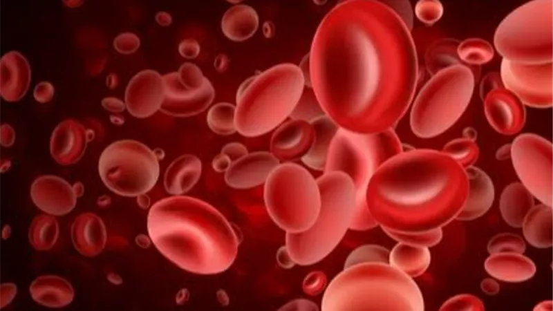 إنطلاق اكبر مؤتمر لتشخيص و علاج أمراض الدم بالقاهرة