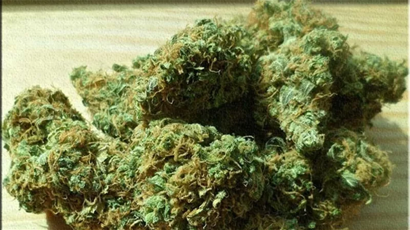 ضبط عاطلين بحوزتهما 500 جرام فودو وإستروكس بالطريق الدائري