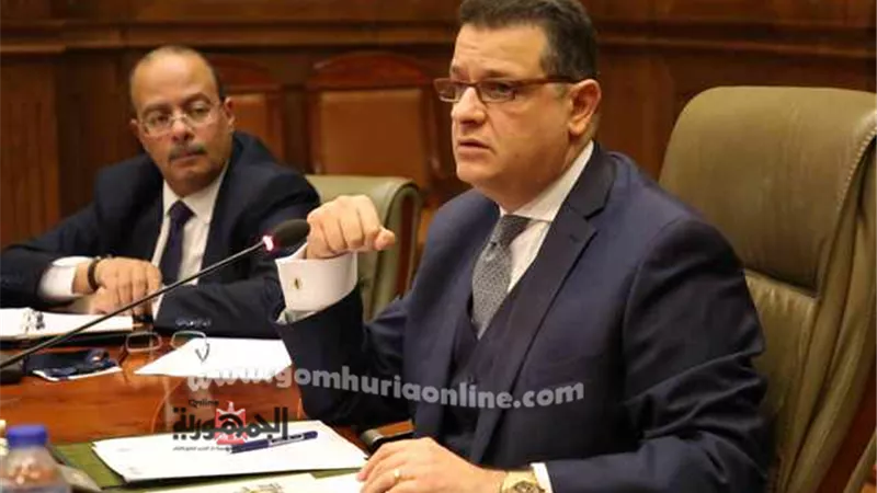 إفريقية النواب: الرئيس السيسى لديه رؤية واضحة لتوجه مصر لافريقيا