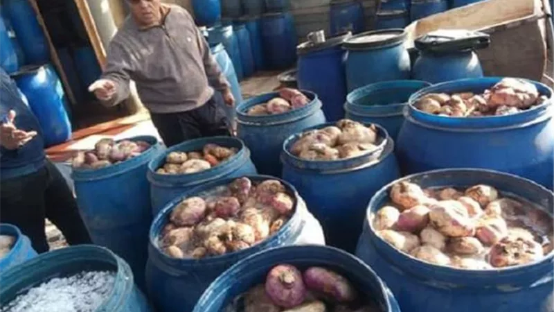 إعدام 285 كيلو أغذية فاسدة بالوادى الجديد
