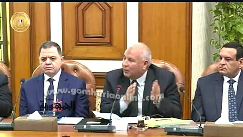 بحضور رئيس الجمهورية الزملّوط يستعرض موقف تقنين أراضي الدولة بالوادى الجديد