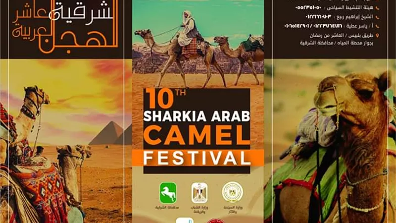 محافظ الشرقية يحدد ٢ مارس موعدا لانطلاق مهرجان الخيول العاشر
