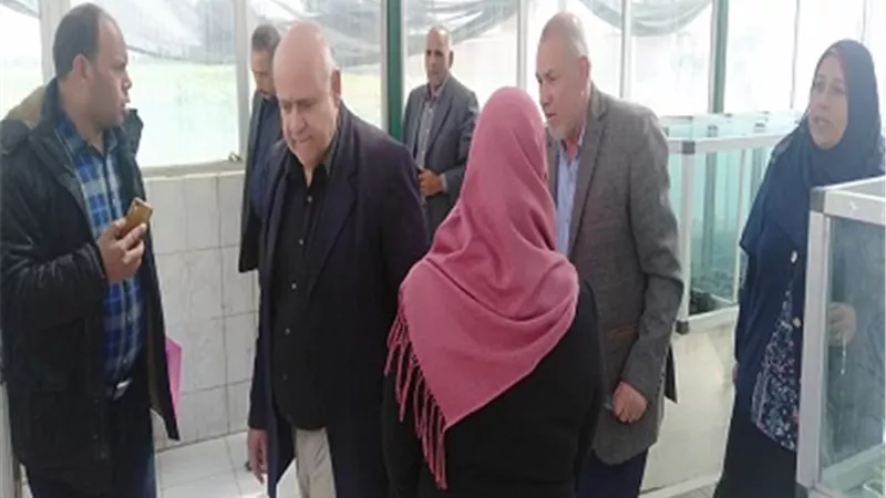 الزراعة: زراعة القمح في الغربية وكفر الشيخ جيدة