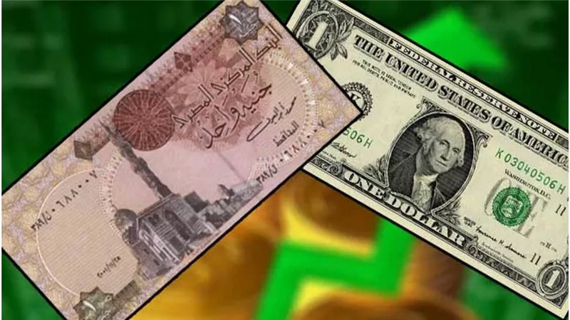 خبراء الاقتصاد يتوقعون انخفاض الدولار الى ١٥ جنيها في هذا التوقيت