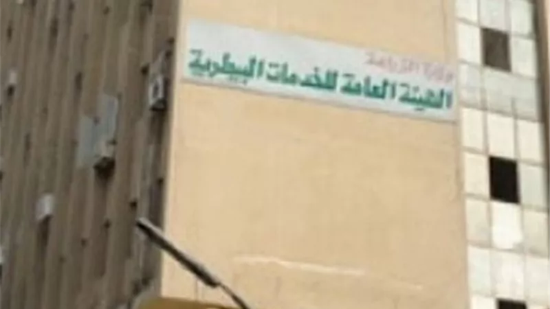 الزراعة.. لحوم ودواجن واسماك غير صالحة للاستهلاك الأدمي فى ١٦ محافظة