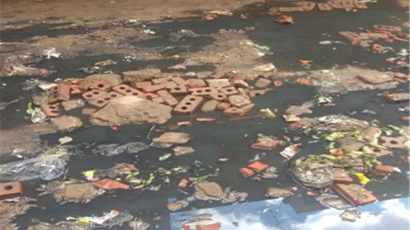 صوت الشعب يرصد مشاكل أهالي دسوق..ويطالب وزير التنمية المحلية بسرعة التدخل