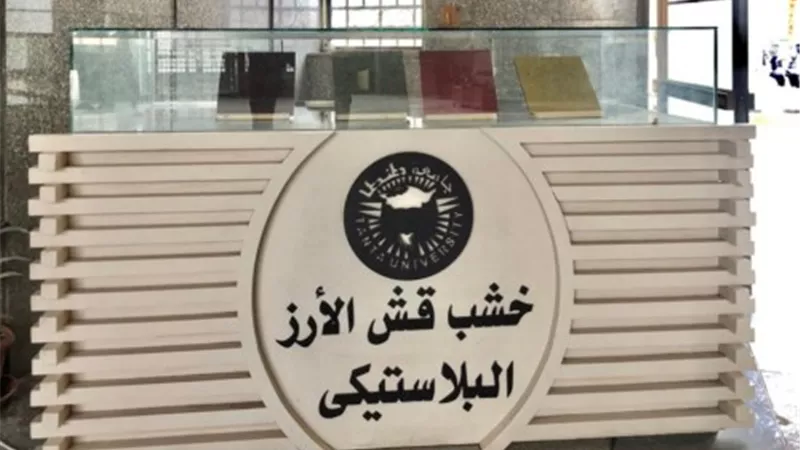 الإثنين.. 