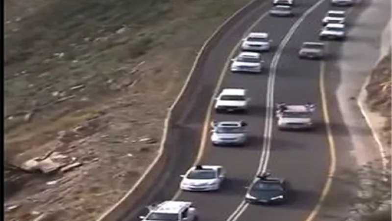 السعودية تحتفل بعودة الشاب القرادى