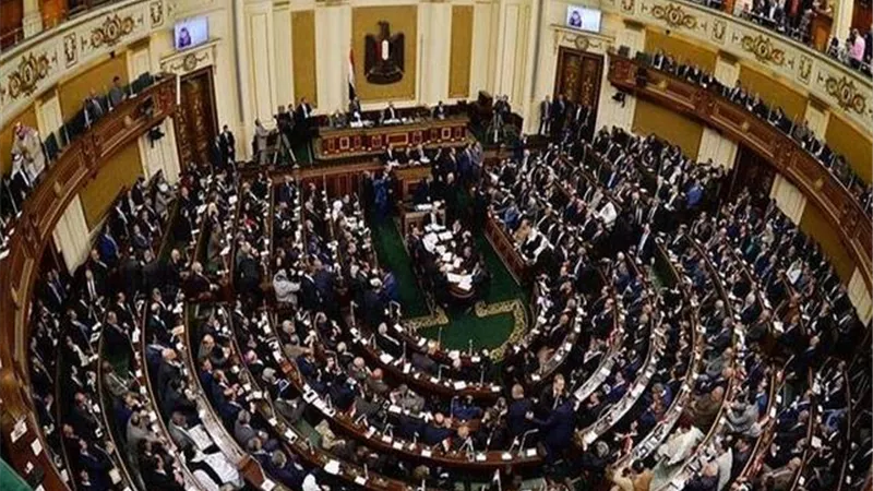 حماية البيانات الشخصية علي السوشيال ميديا أمام البرلمان