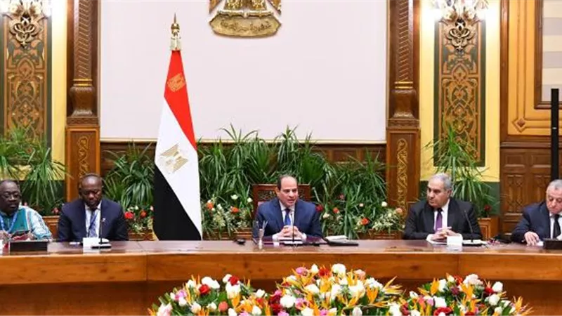 الرئيس يؤكد على دور المحاكم الدستورية في عملية التنمية بالقارة السمراء