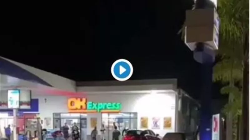 فرس نهر يقتحم محطة وقود بجنوب إفريقيا.. فيديو