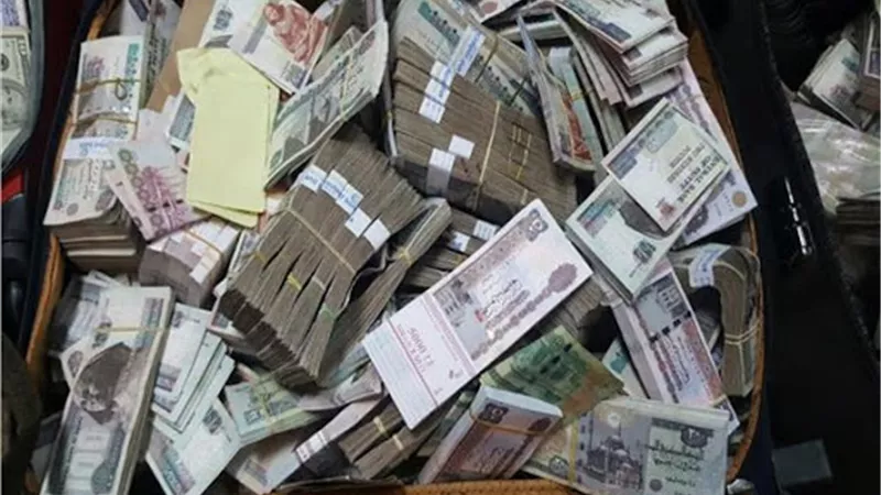 منى ذو الفقار: 26.1 مليار جنيه أرصدة التمويل متناهي الصغر في 2019