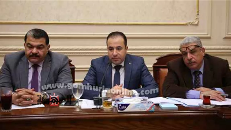 البرلمان يواجه تجارة الأدوية المغشوشة عبر السوشيال ميديا
